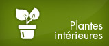 Plantes intérieures