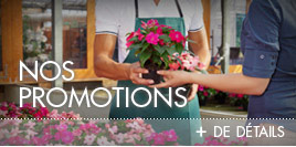 Nos promotions